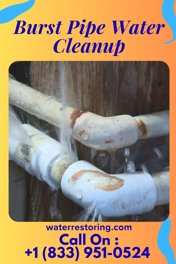 Burst Pipe Water Cleanup in Oak Grove, VA