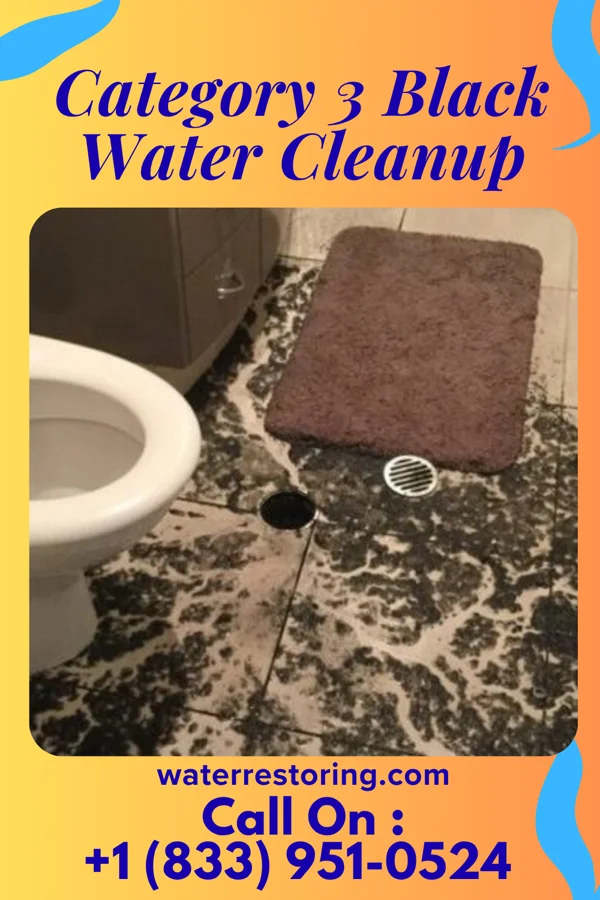 Category 3 Black Water Cleanup in Oak Grove, VA