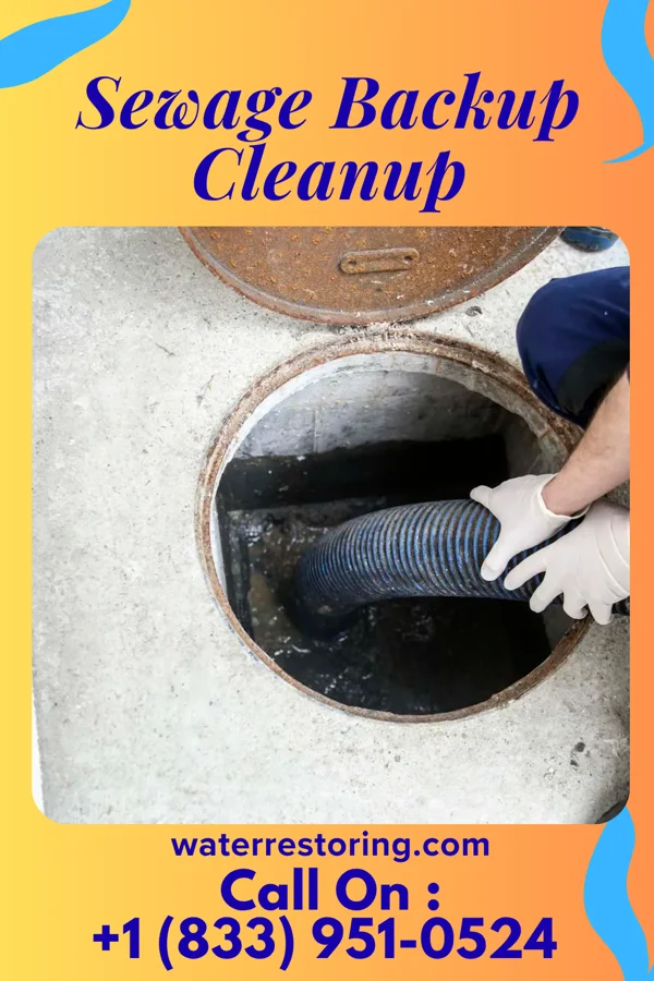 Sewage Backup Cleanup in Oak Grove, VA