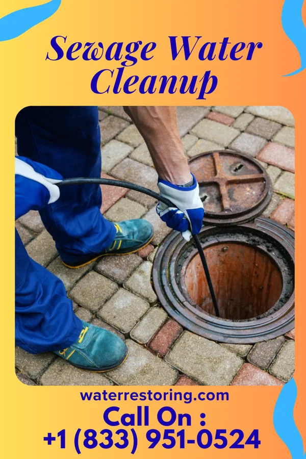 Sewage Water Cleanup in Oak Grove, VA