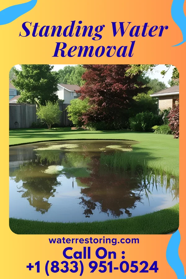 Standing Water Removal in Oak Grove, VA